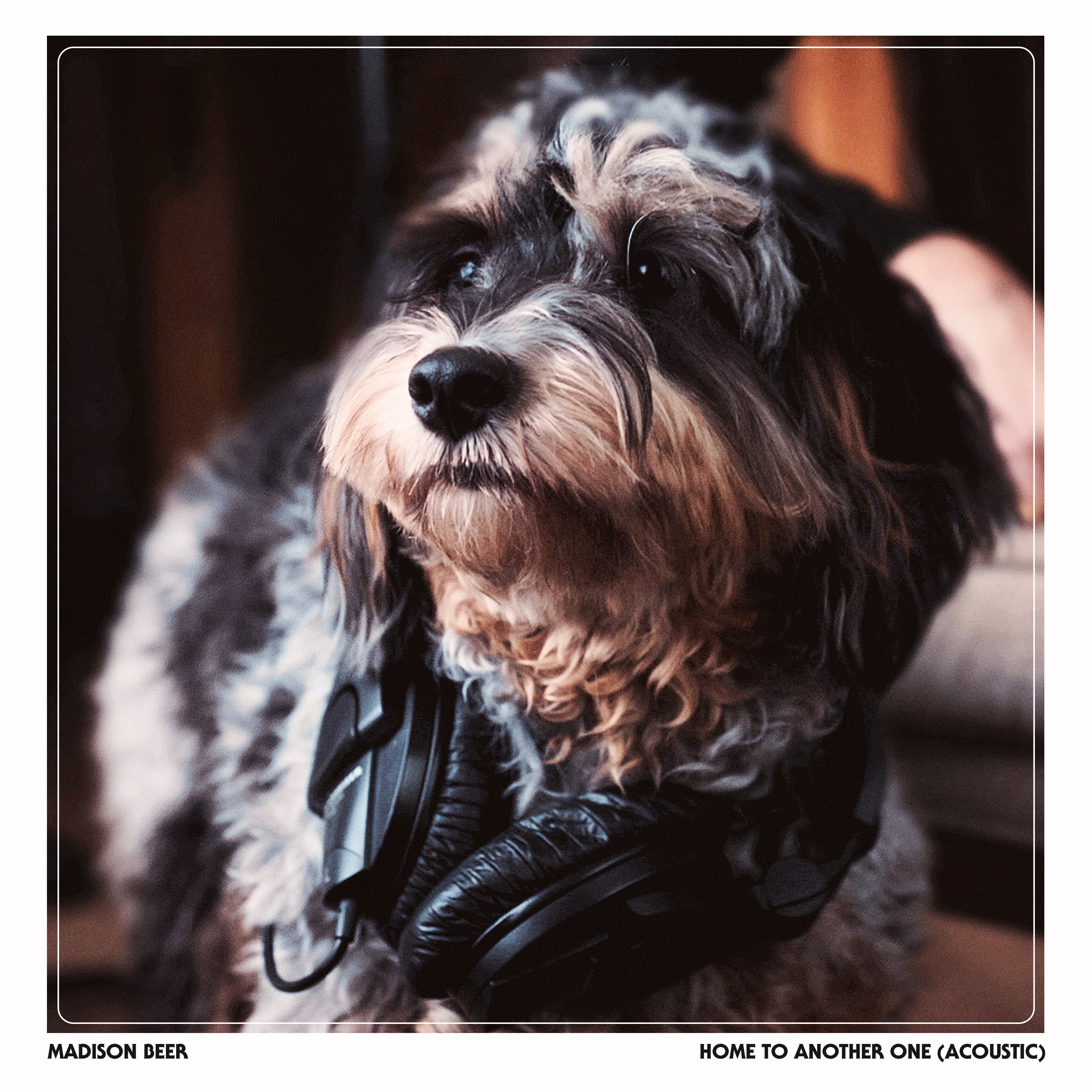 Home To Another One (Acoustic) - Single album cover
