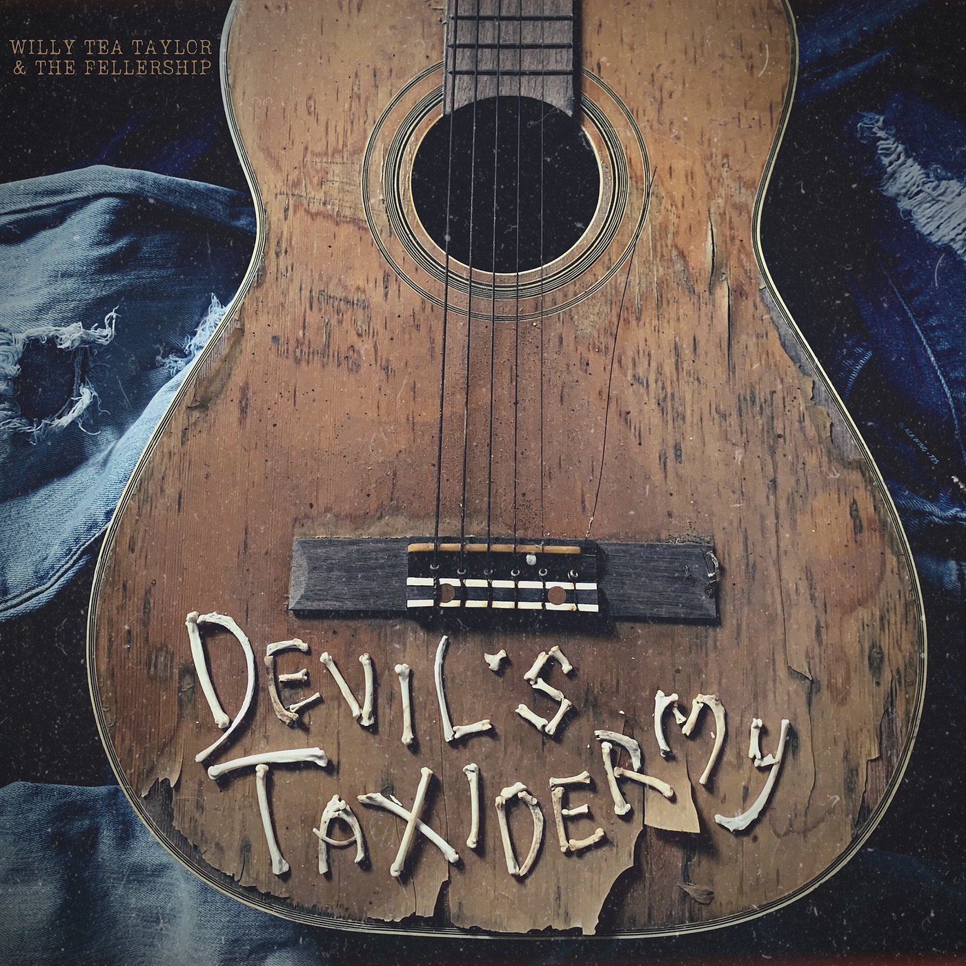 Devil’s Taxidermy - Single album cover