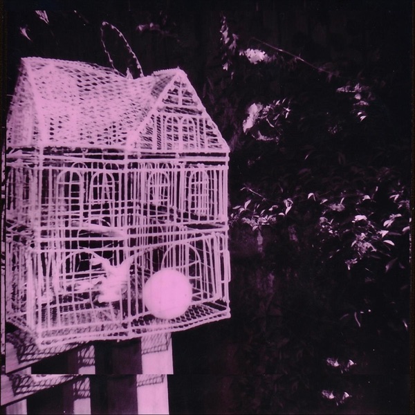 Everybody Come on Man album cover