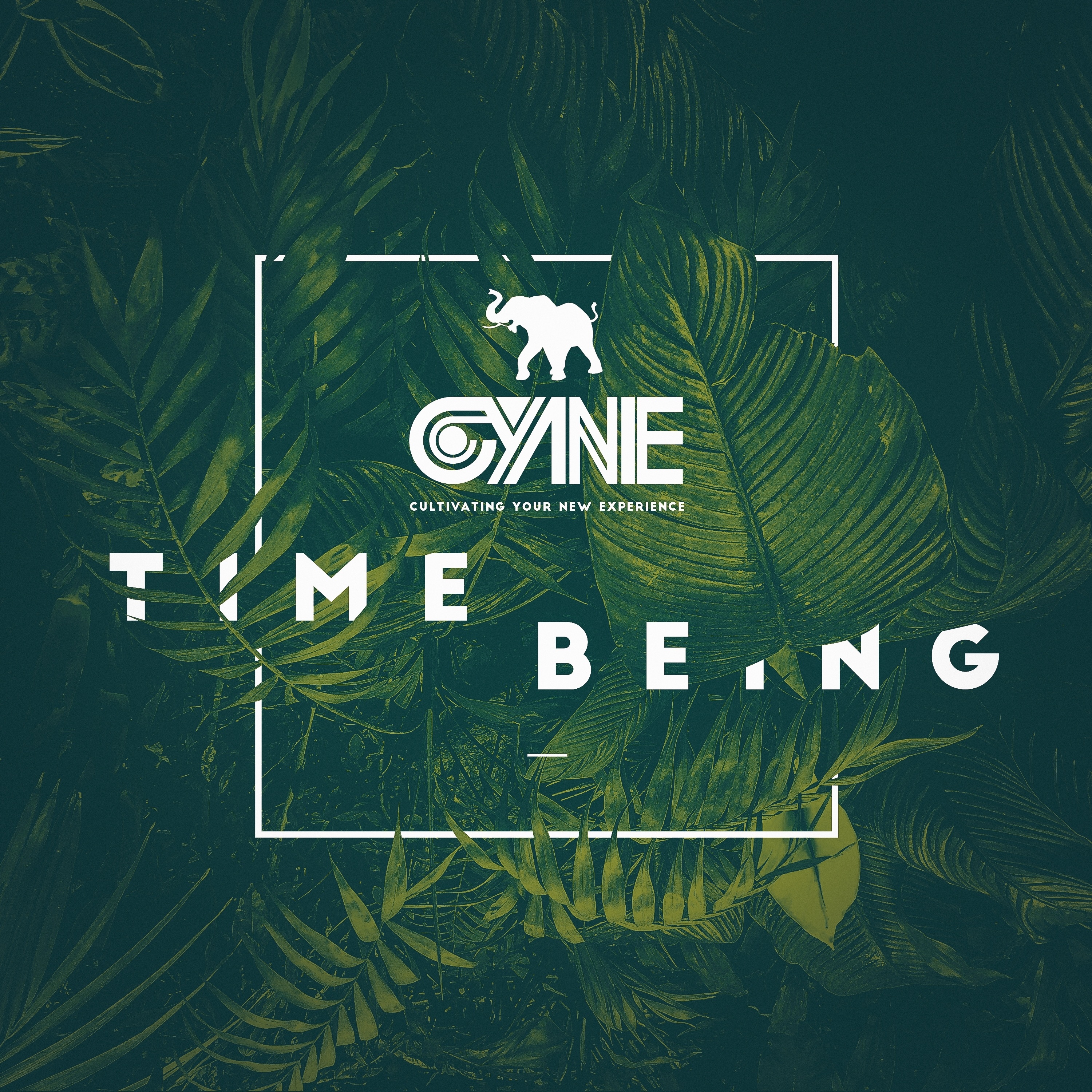 Time Being (Deluxe Edition) album cover