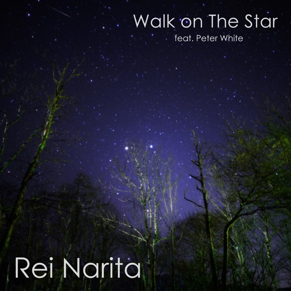 Walk on the Star (feat. Peter White) - Single album cover