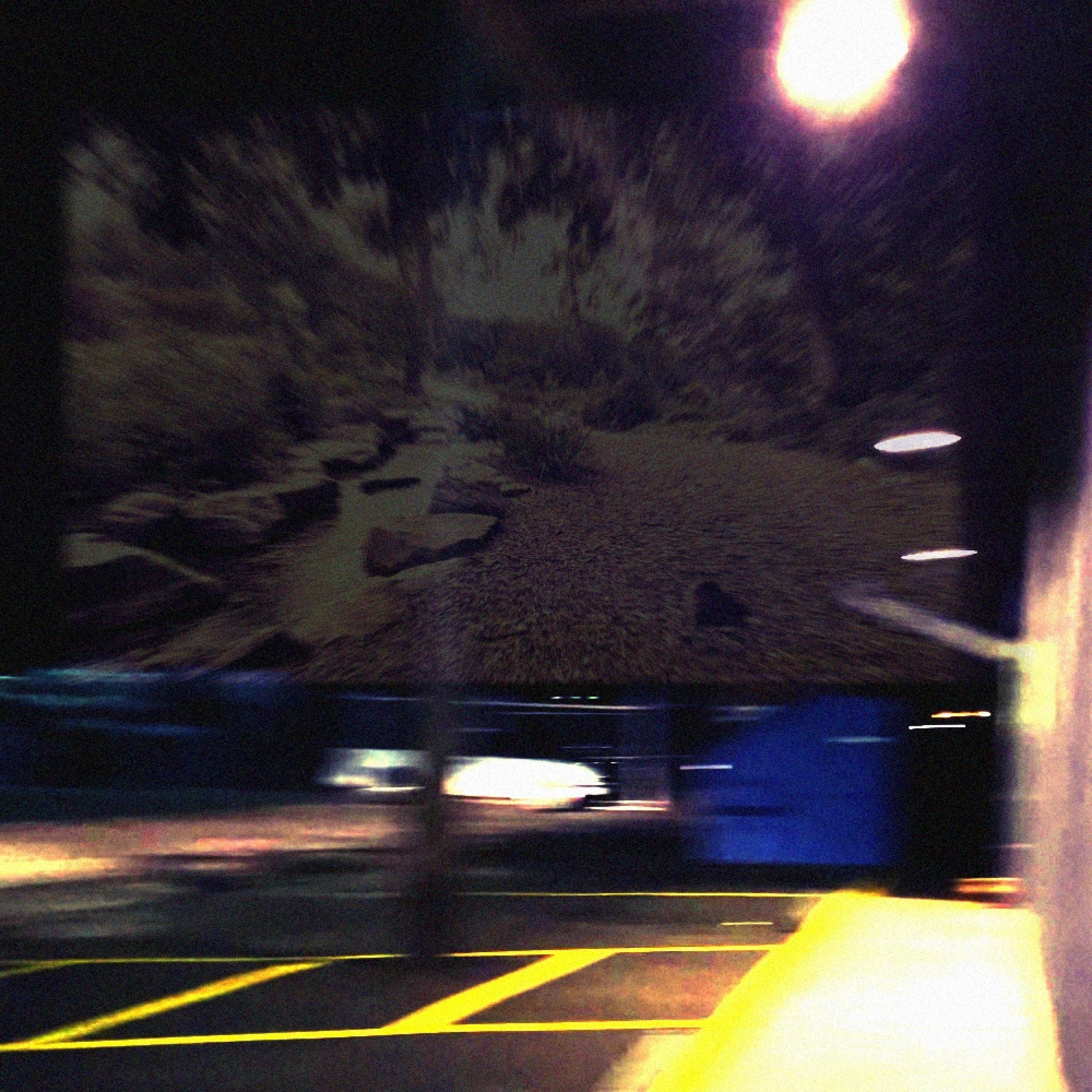 Luminescent - Single album cover