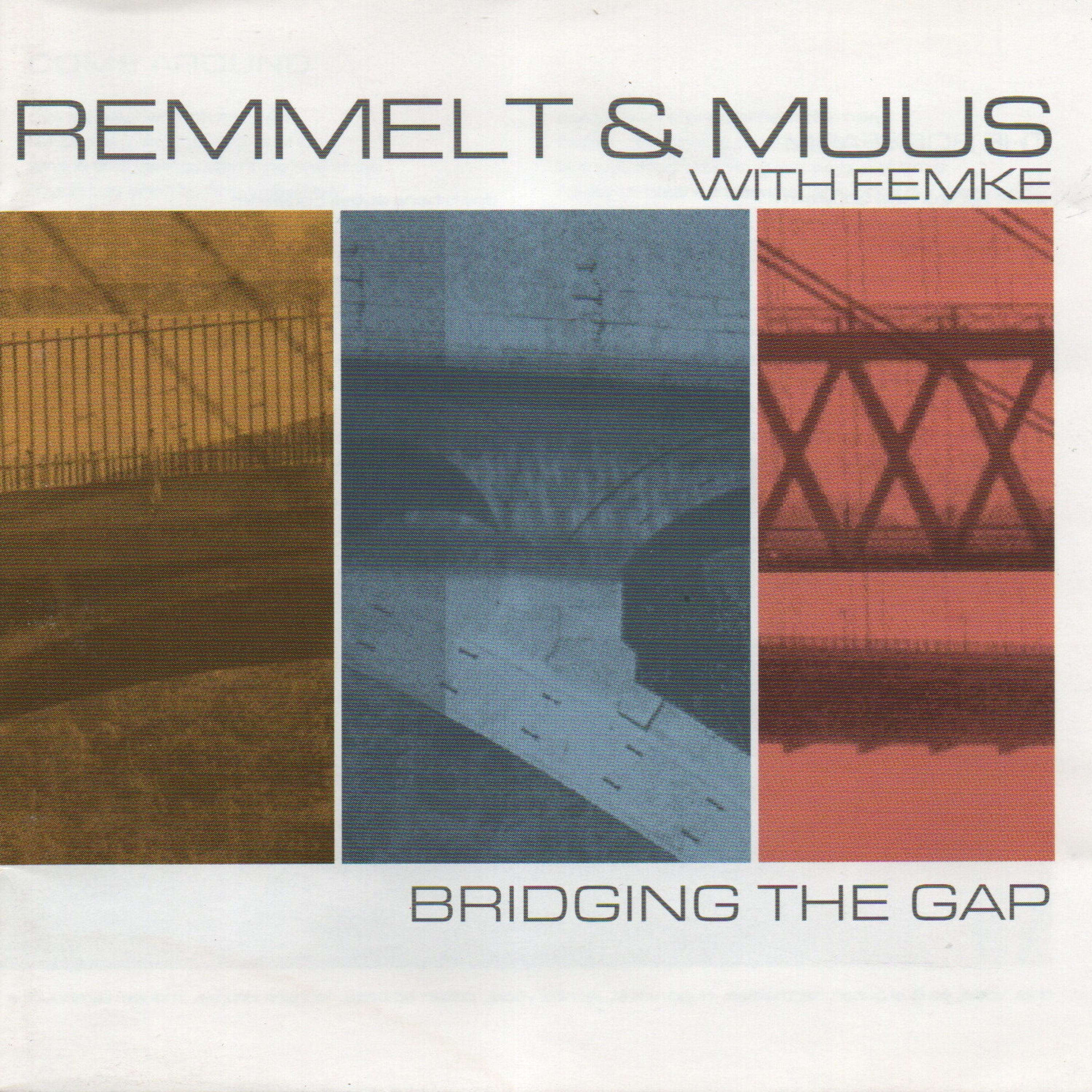 Bridging The Gap album cover