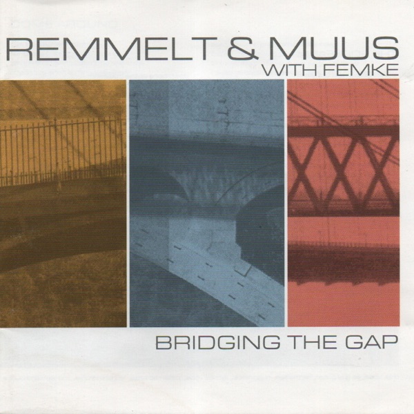 Bridging The Gap album cover