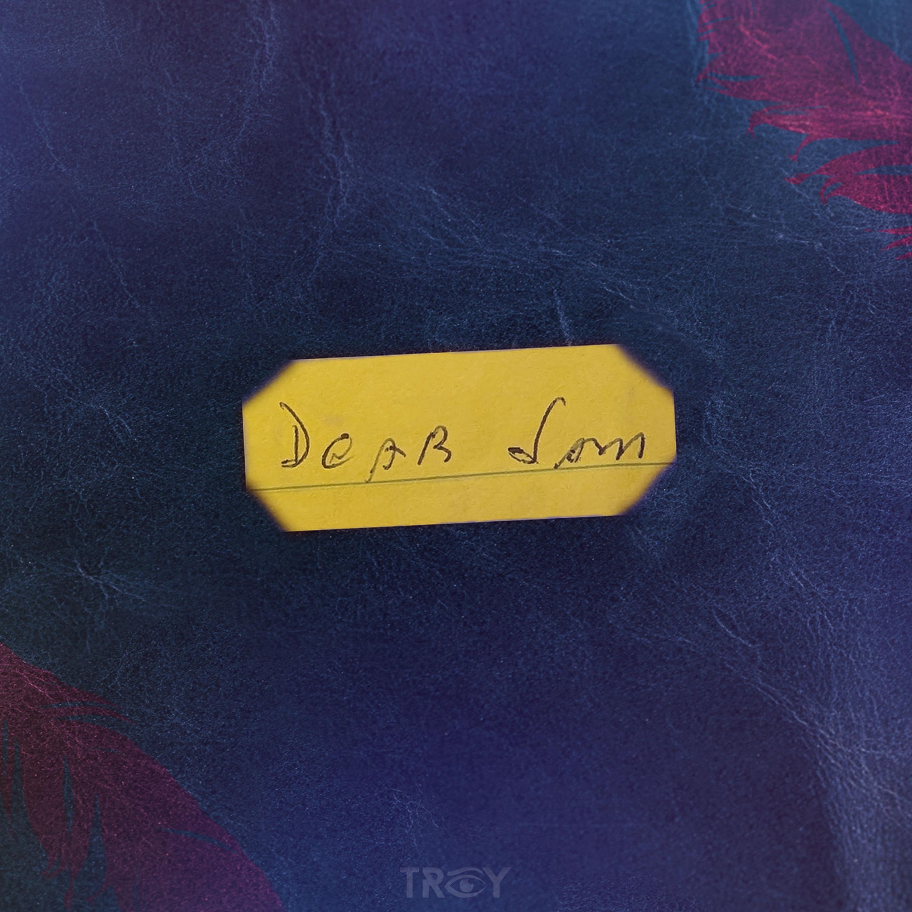 Dear Sam - Single album cover