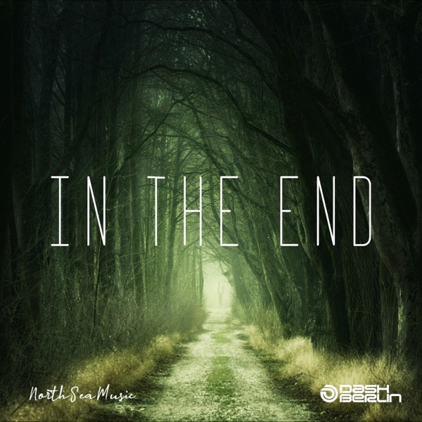 In the End - Single album cover