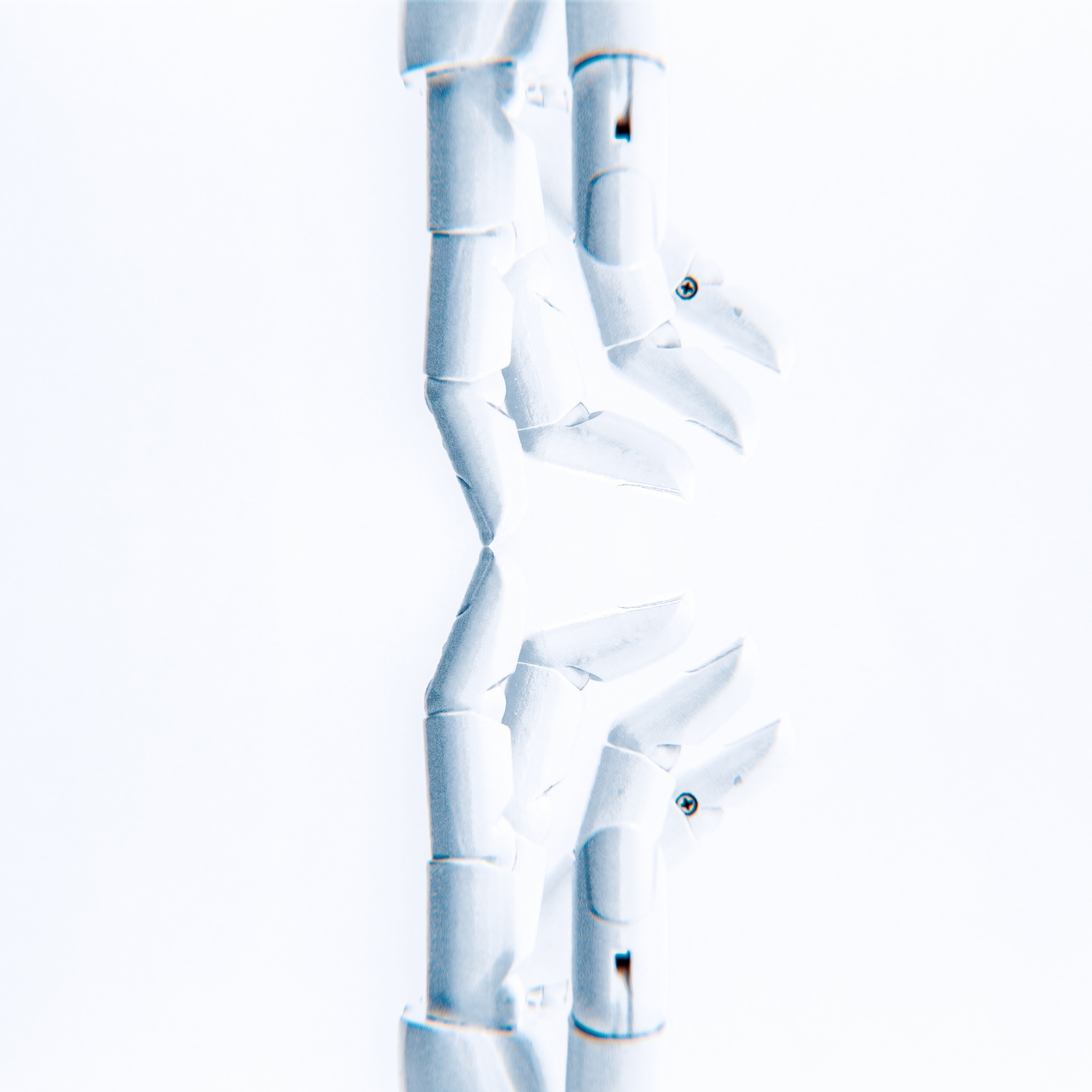 Catcher - Single album cover