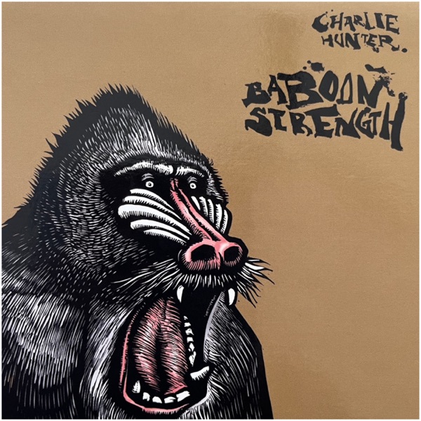 Baboon Strength album cover