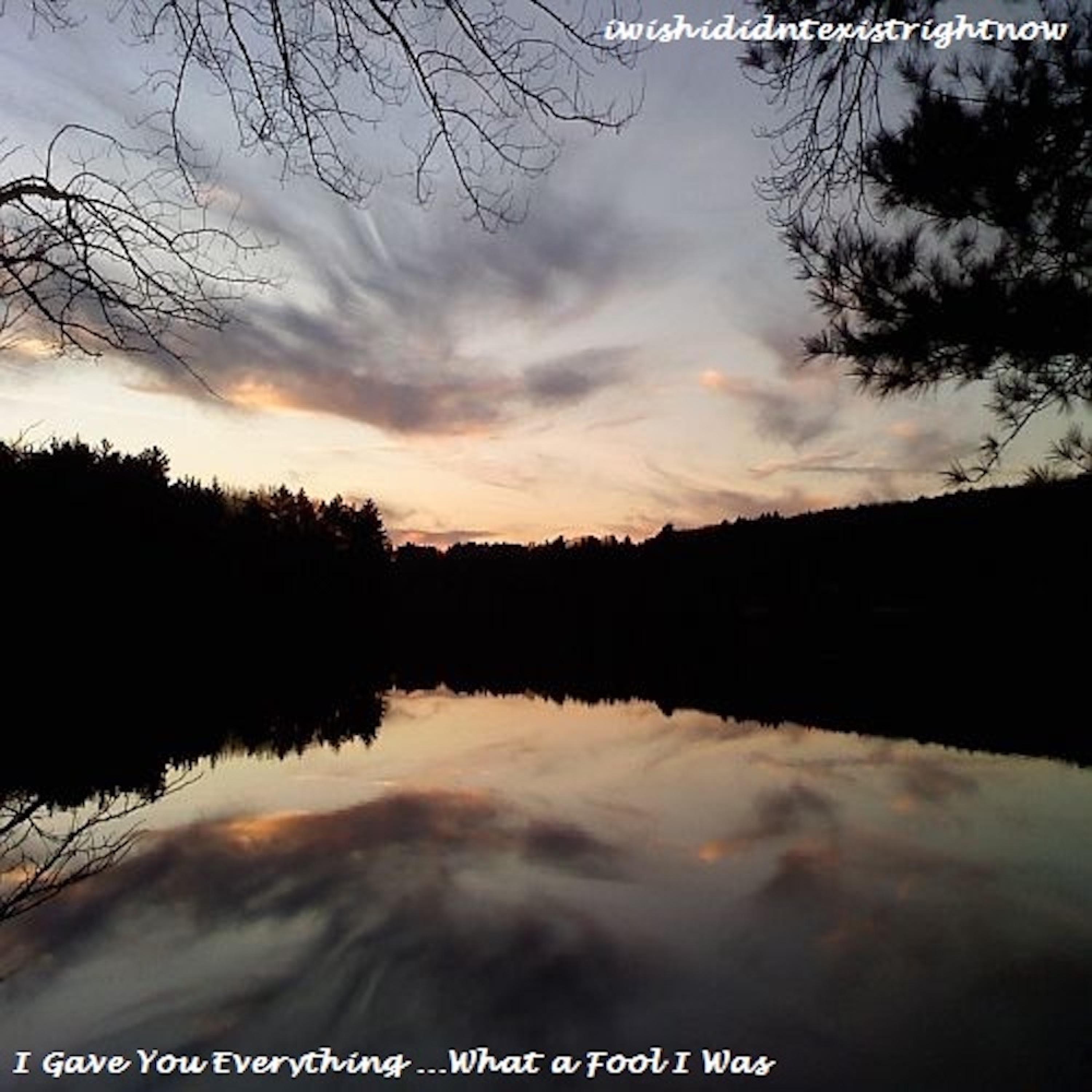 I Gave You Everything...What a Fool I Was - EP album cover