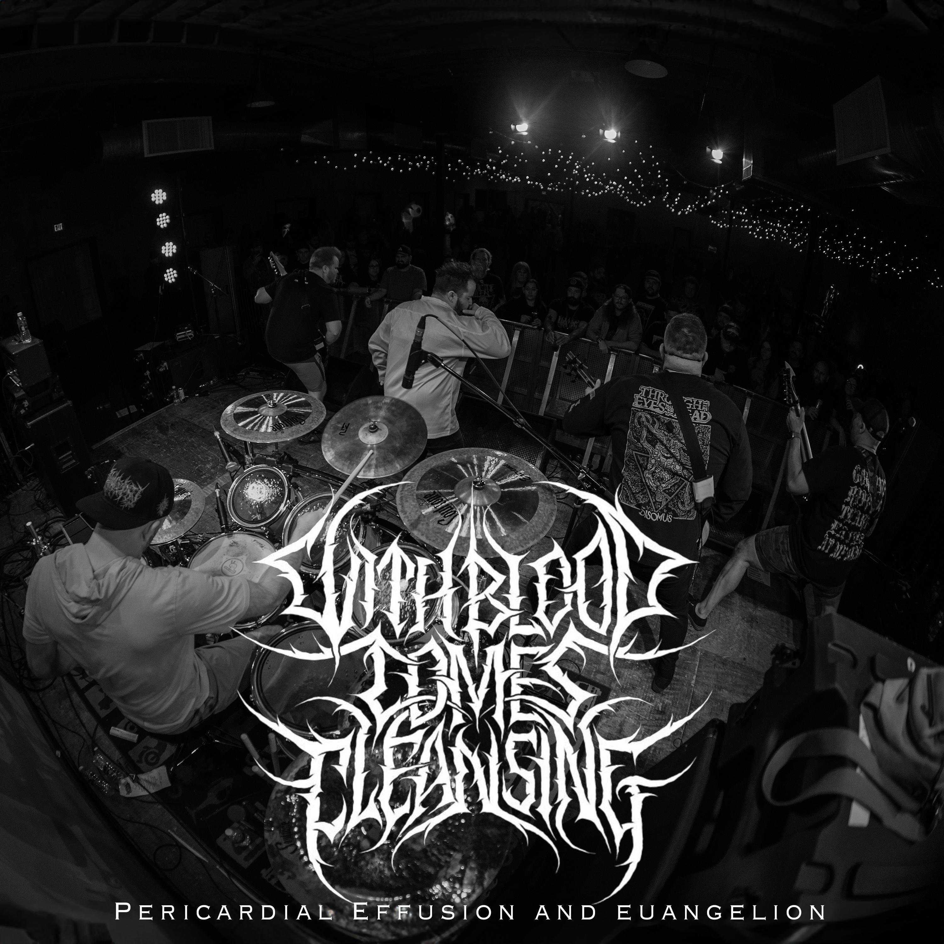 Pericardial Effusion // Euangelion - Single album cover