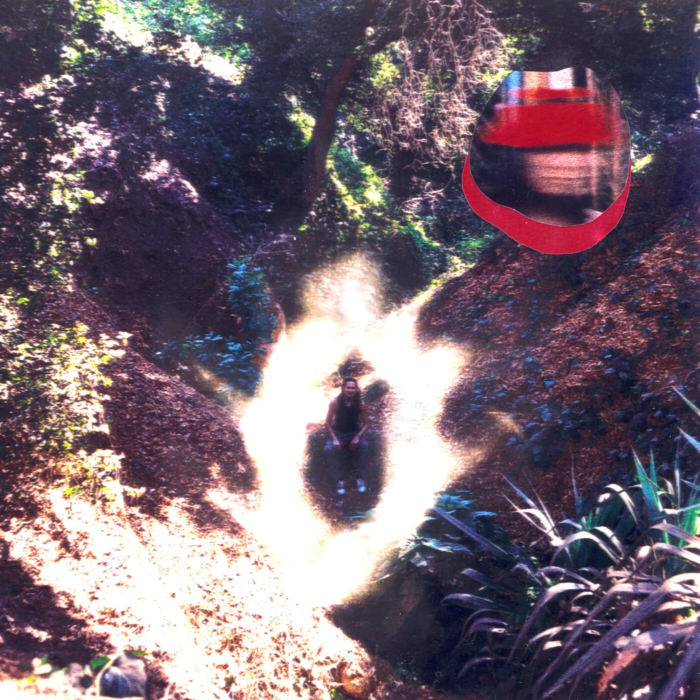 Intergalactic Warp Terminal 222 album cover