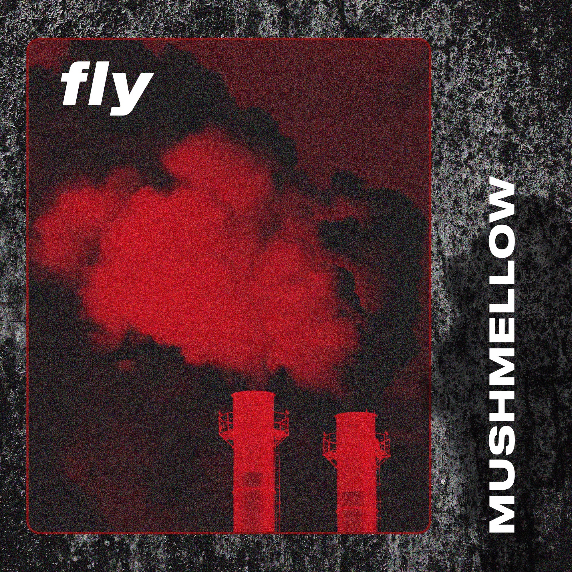 Fly - Single album cover