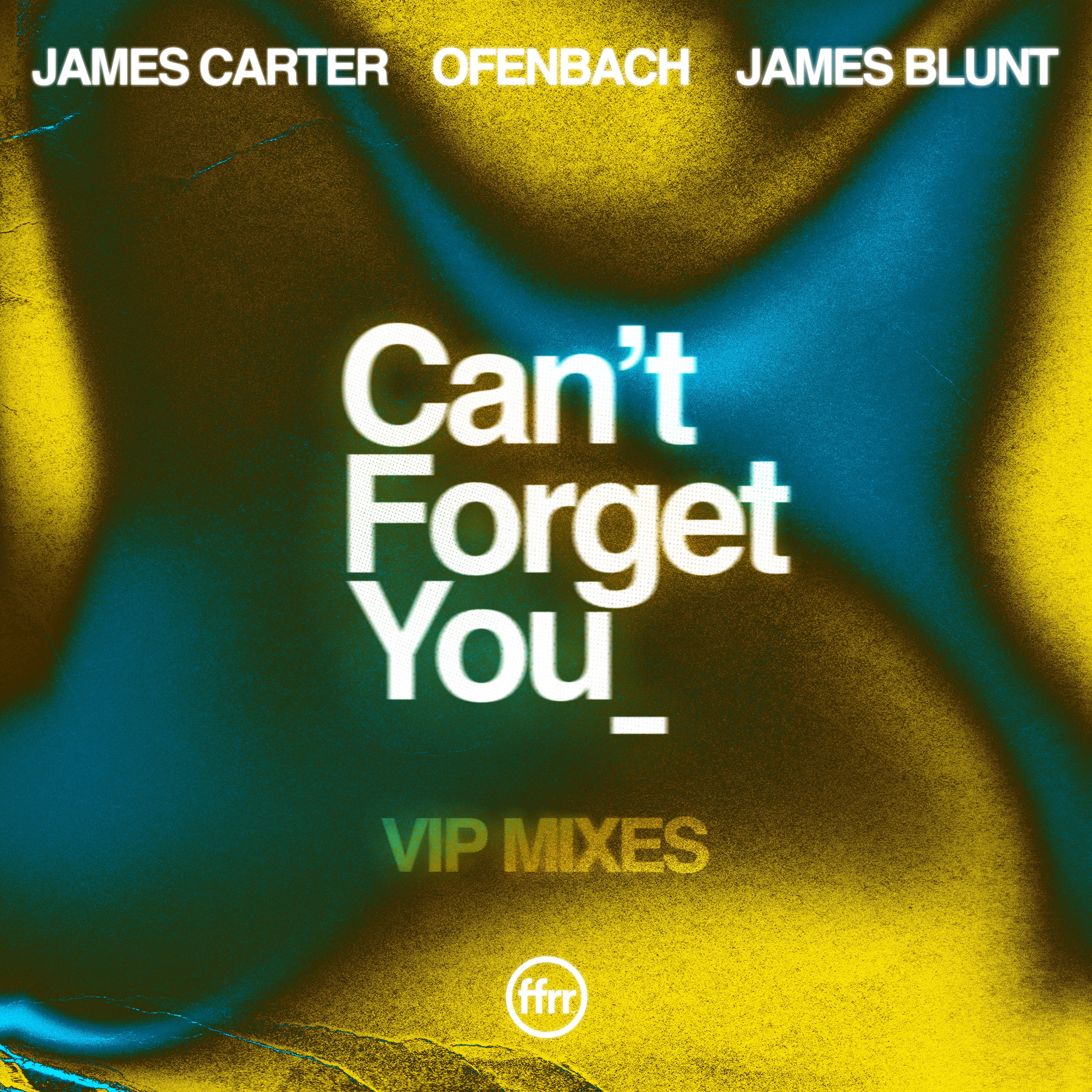 Can’t Forget You (feat. James Blunt) [VIP Mixes] - Single album cover