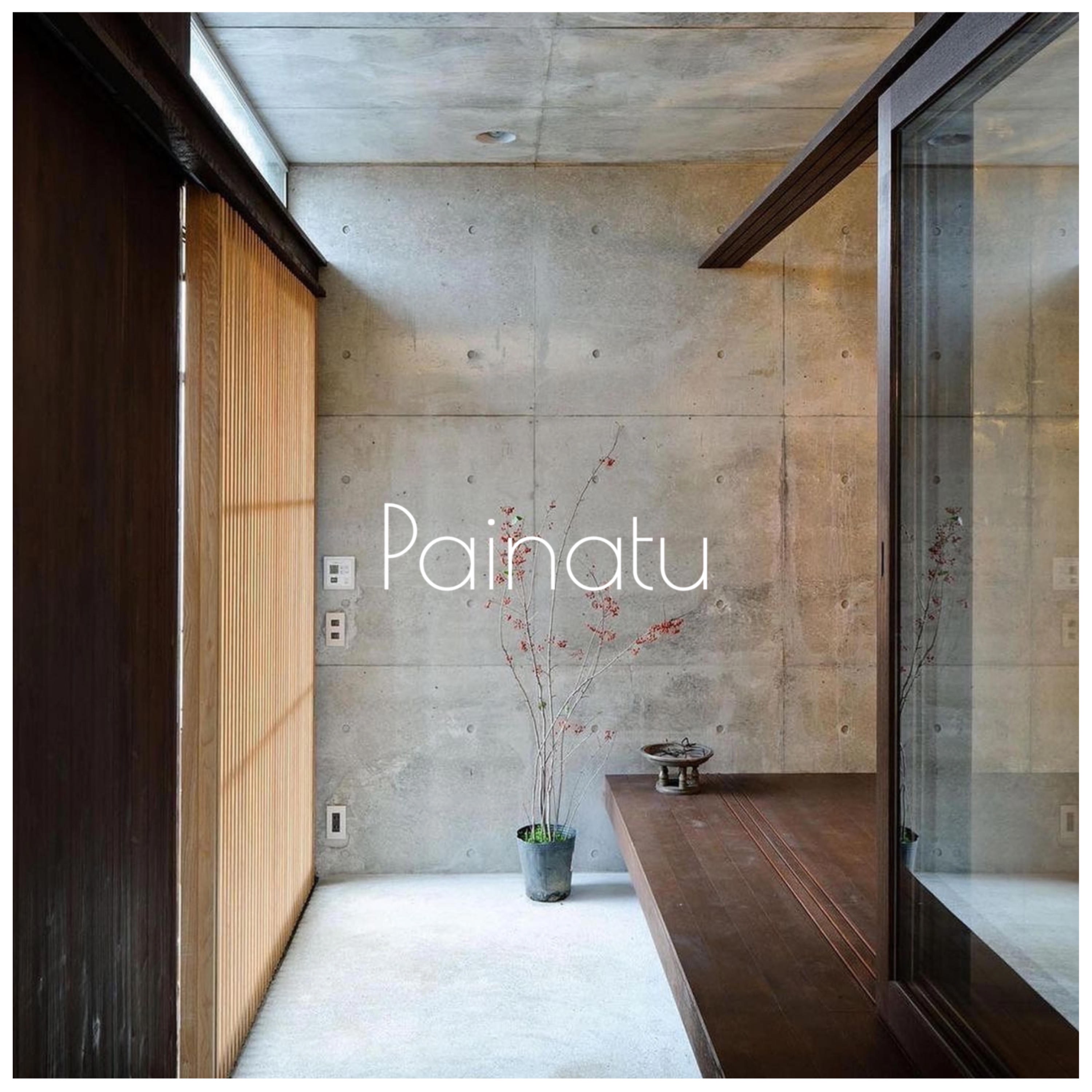 Painatu album cover