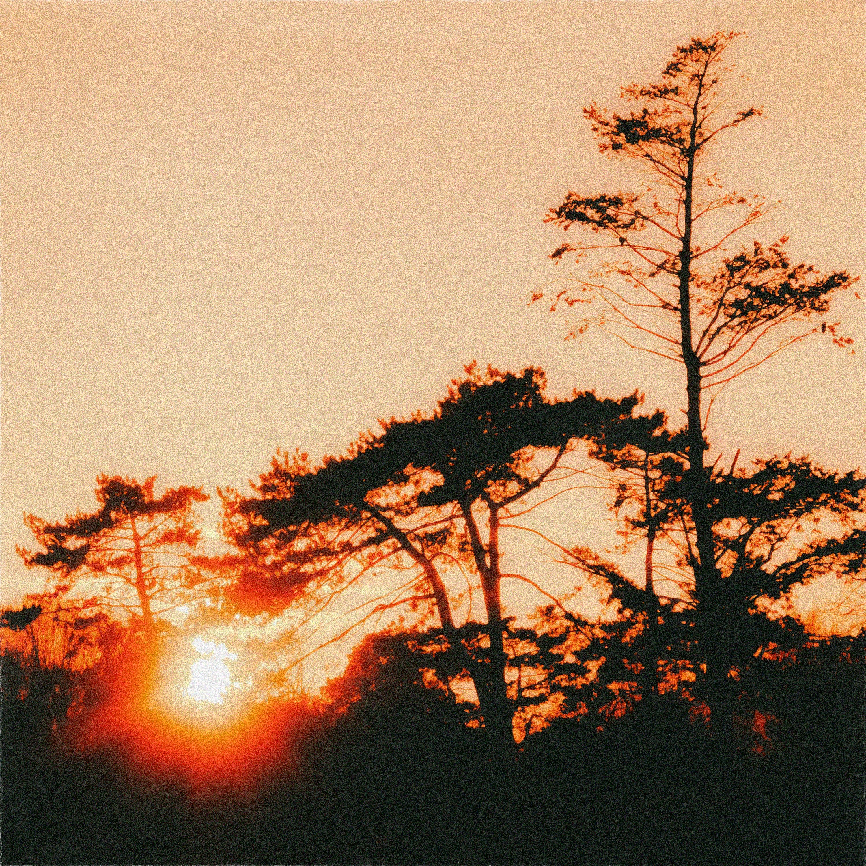 Sundown - Single album cover