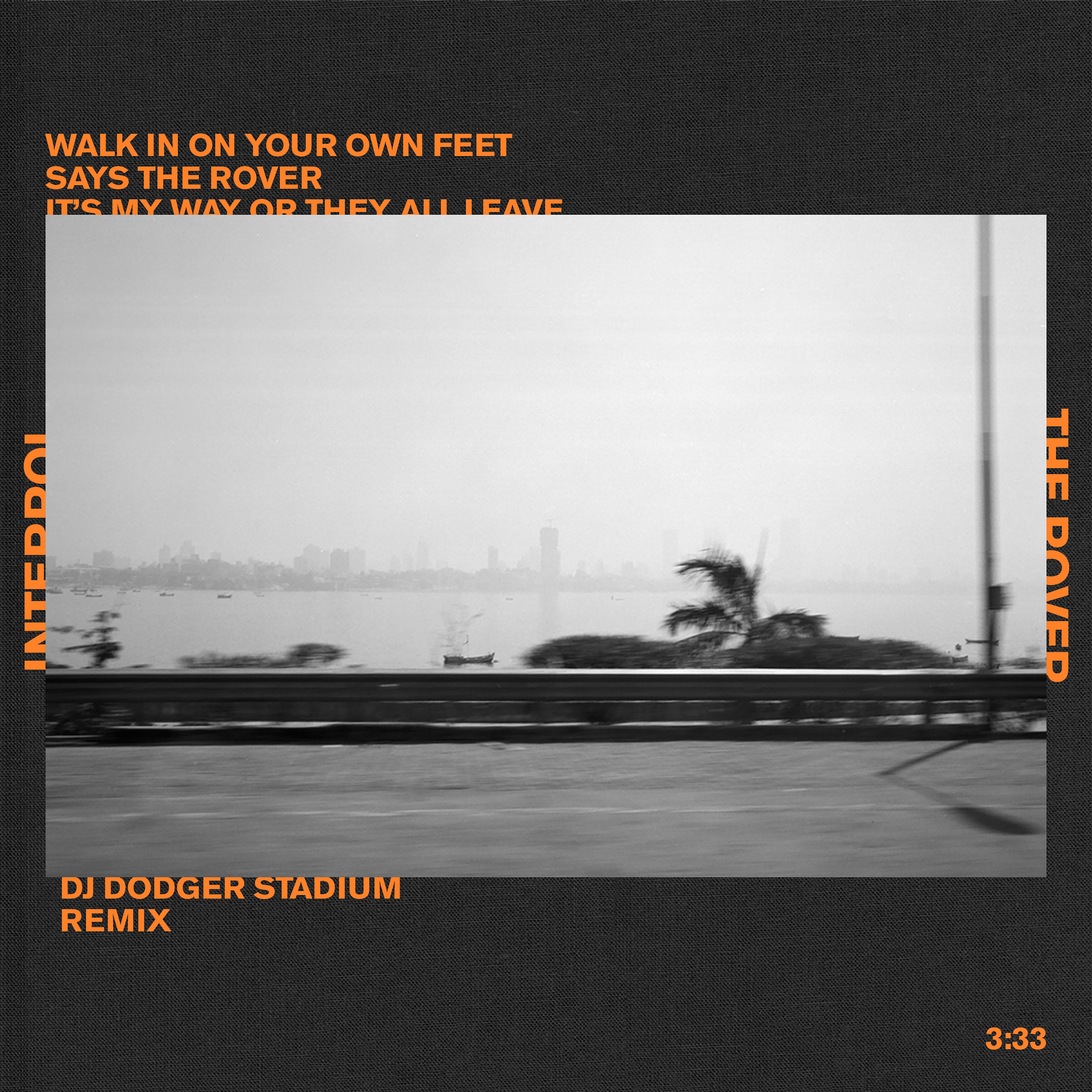 The Rover (DJDS Remix) - Single album cover