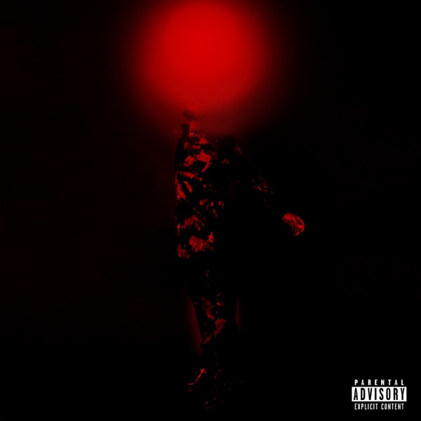 Crash & Burn (Remix) - Single album cover