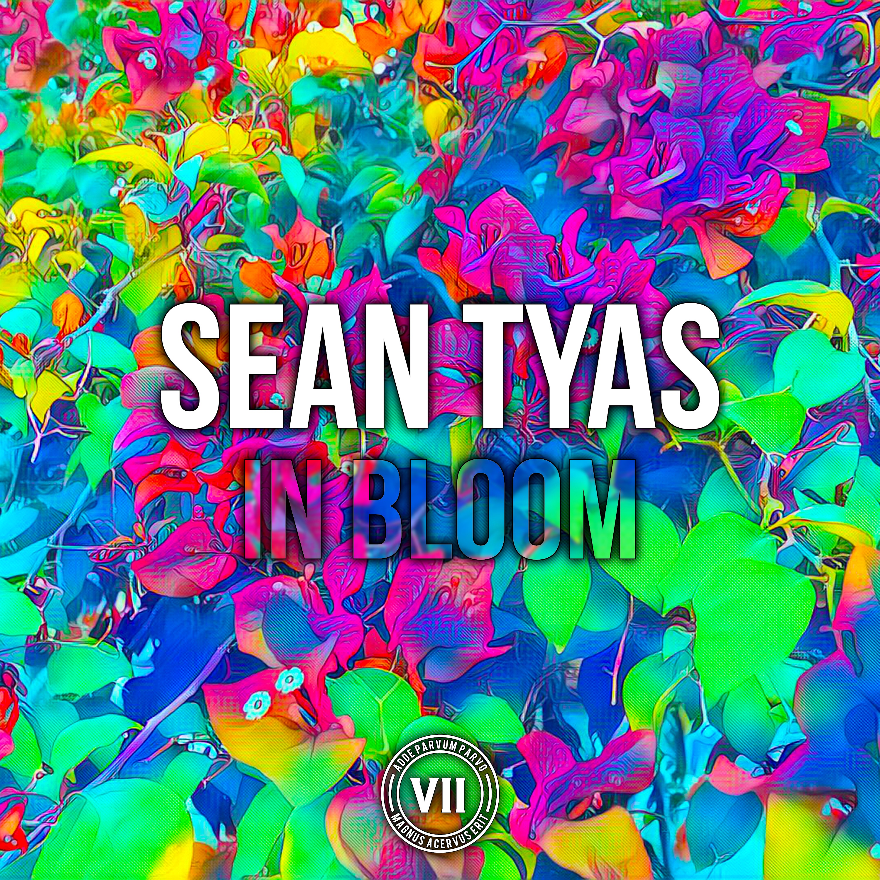 In Bloom - Single album cover
