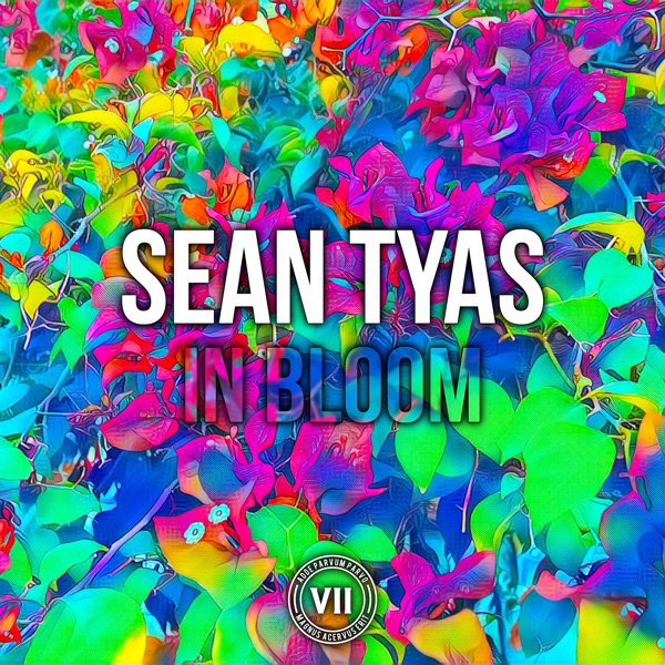 In Bloom - Single album cover
