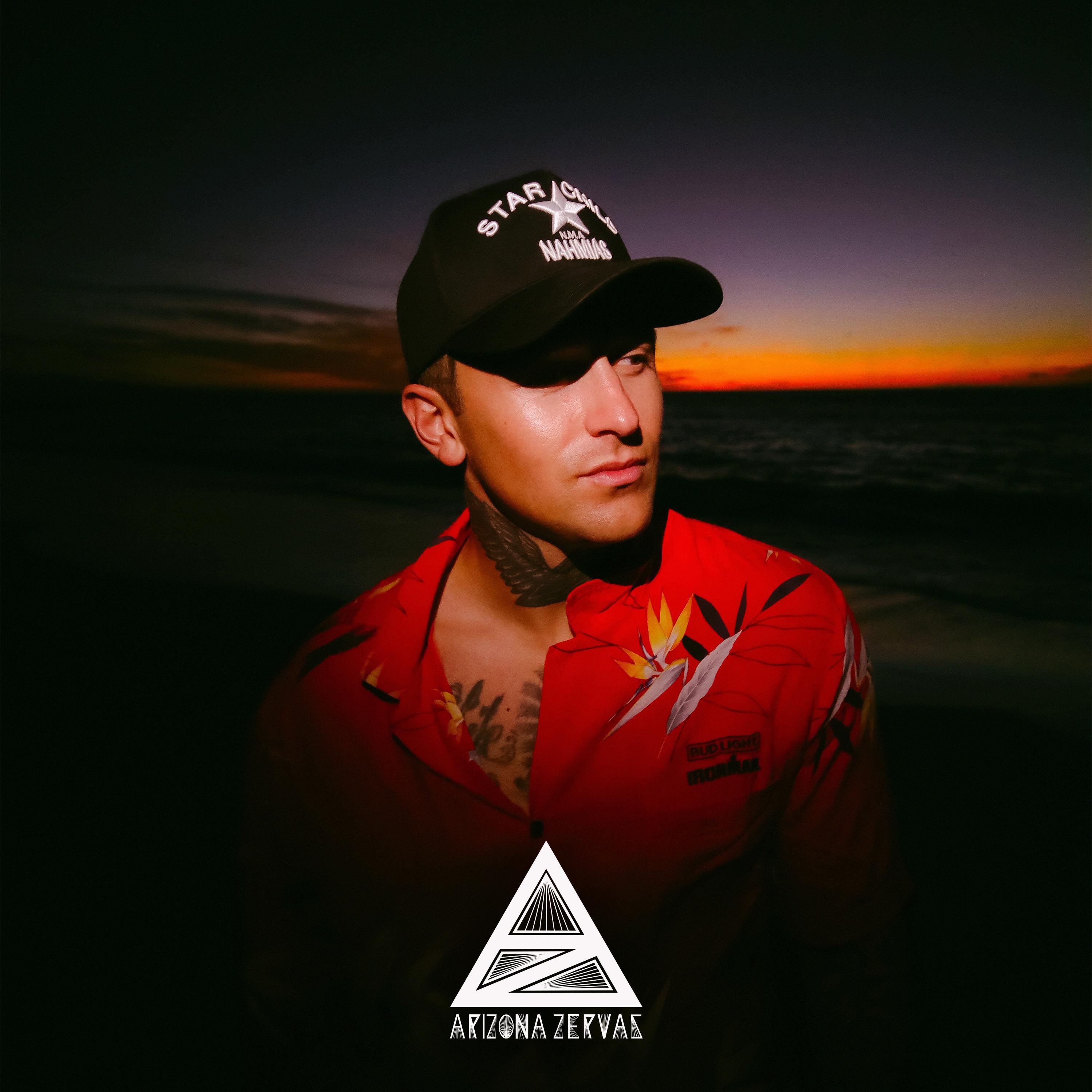 WOULDN'T IT BE NICE - Single album cover