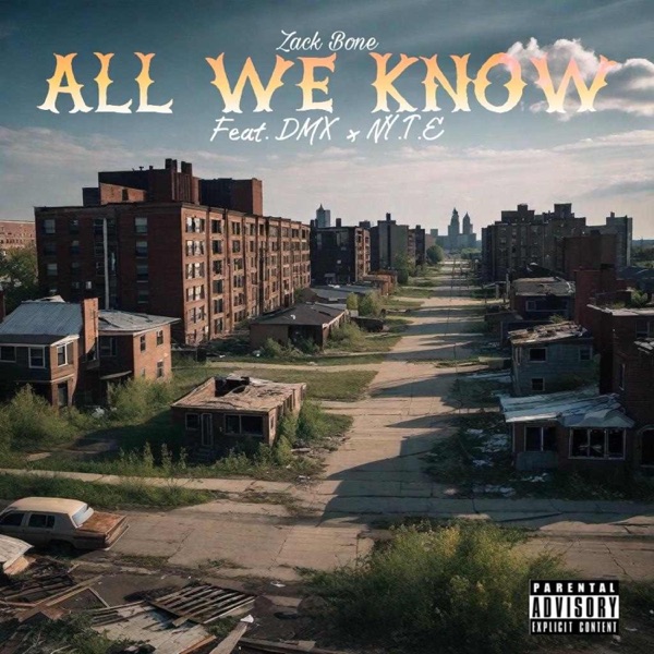 All We Know (feat. DMX & NY.T.E) - Single album cover