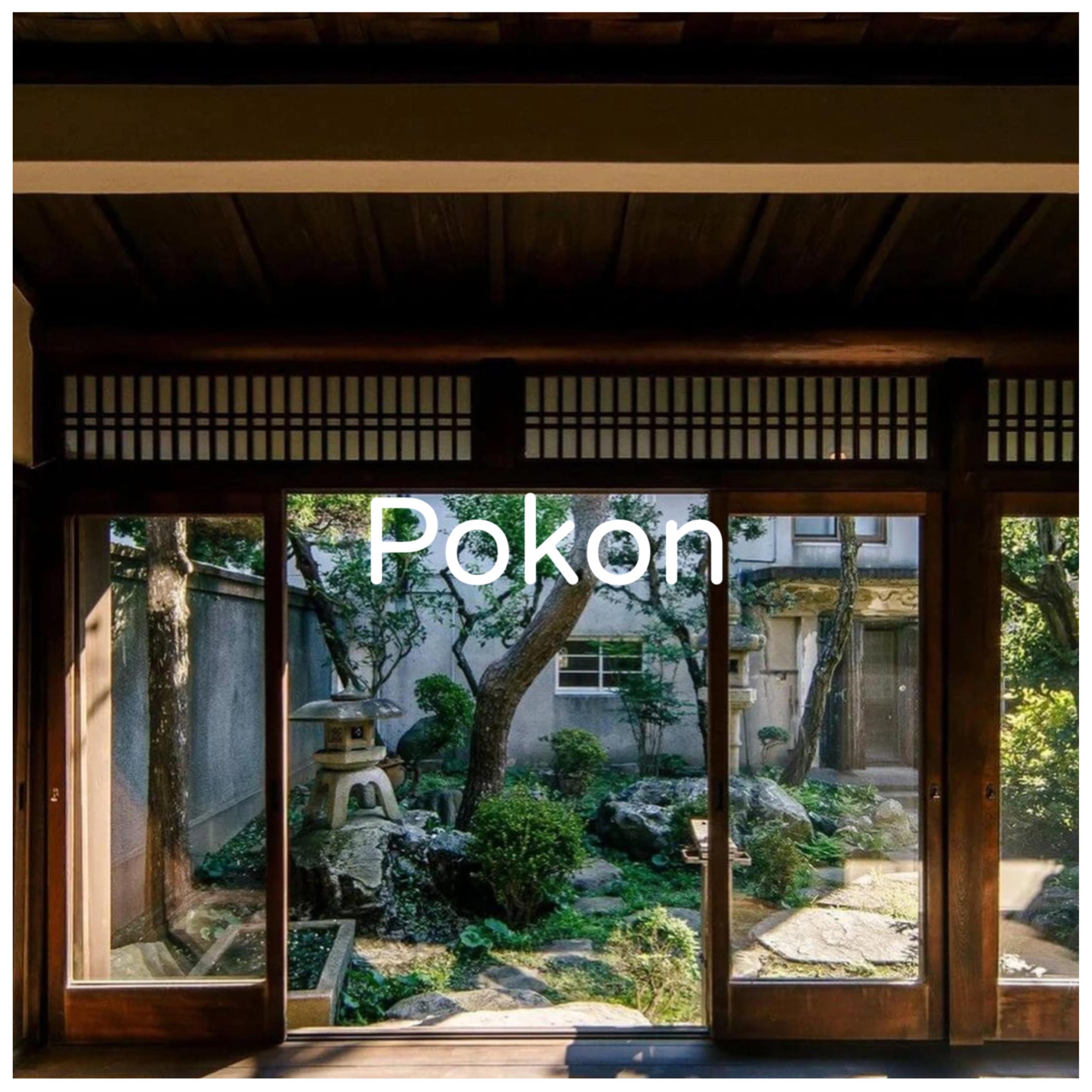 Pokon album cover
