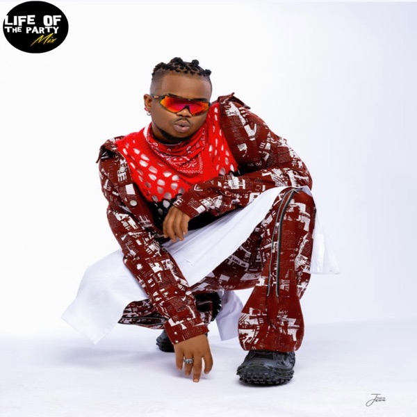 Life of the Party Mix: Rexxie, Afropiano to The World (DJ Mix) album cover