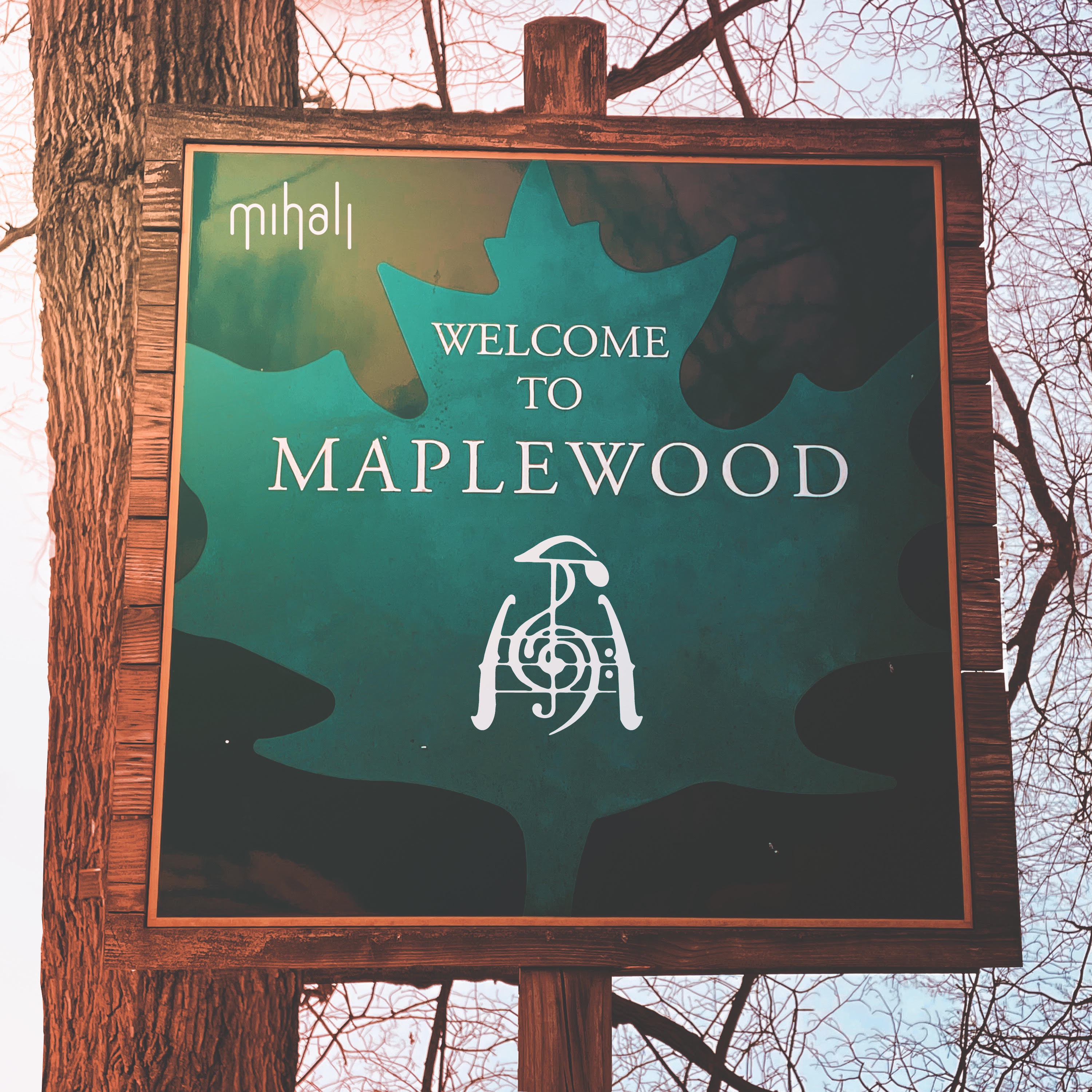 Maplewood - Single album cover