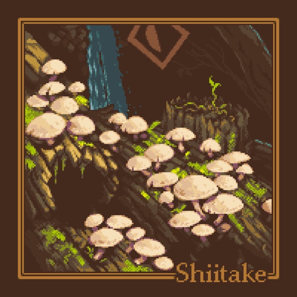Shiitake - Single album cover