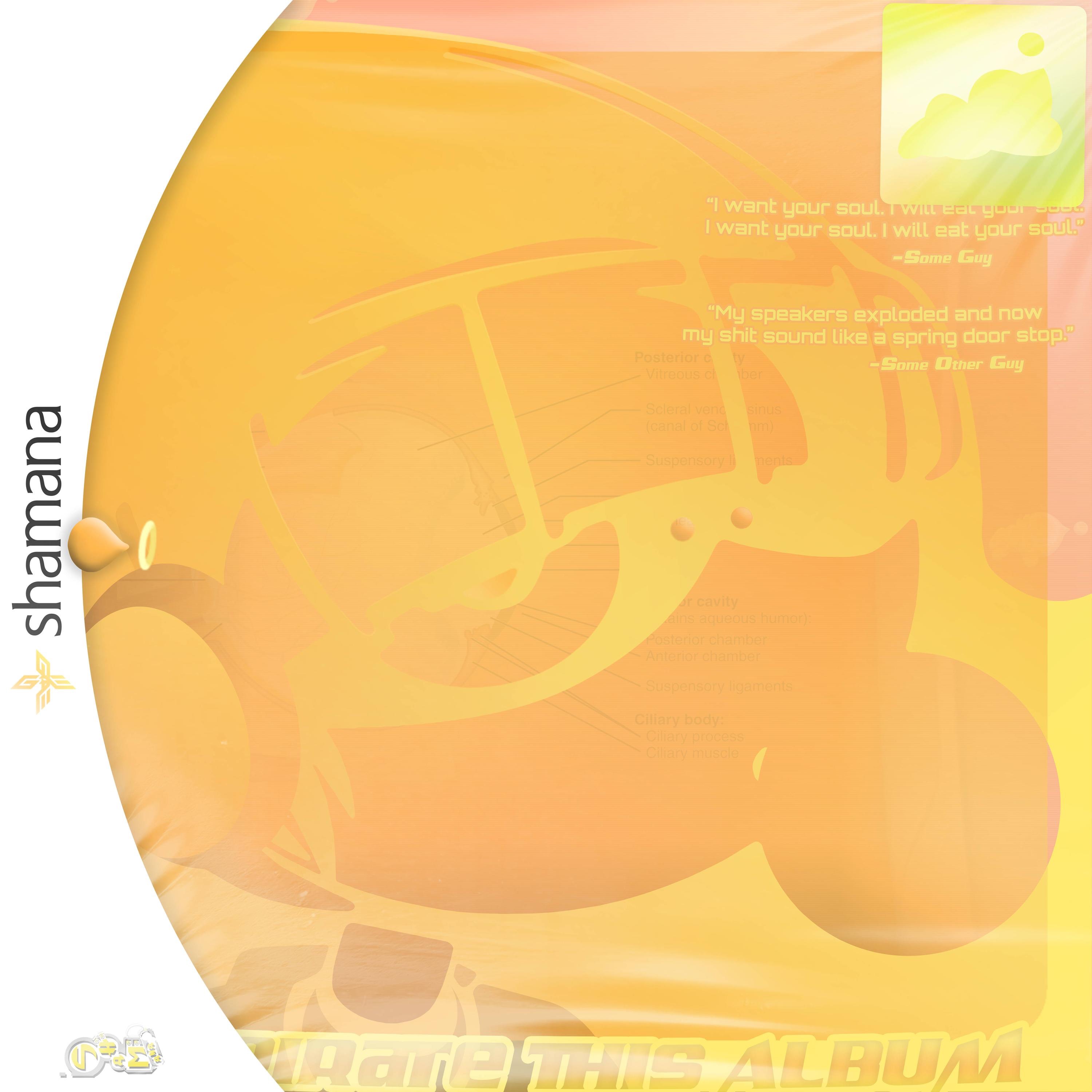 Pirate This Album album cover