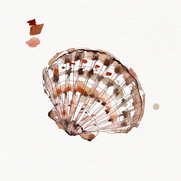 Venus - Single album cover