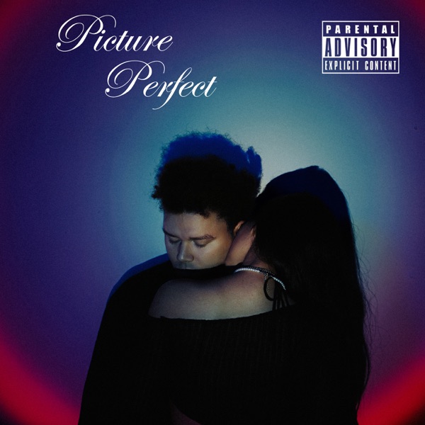 Picture Perfect - Single album cover