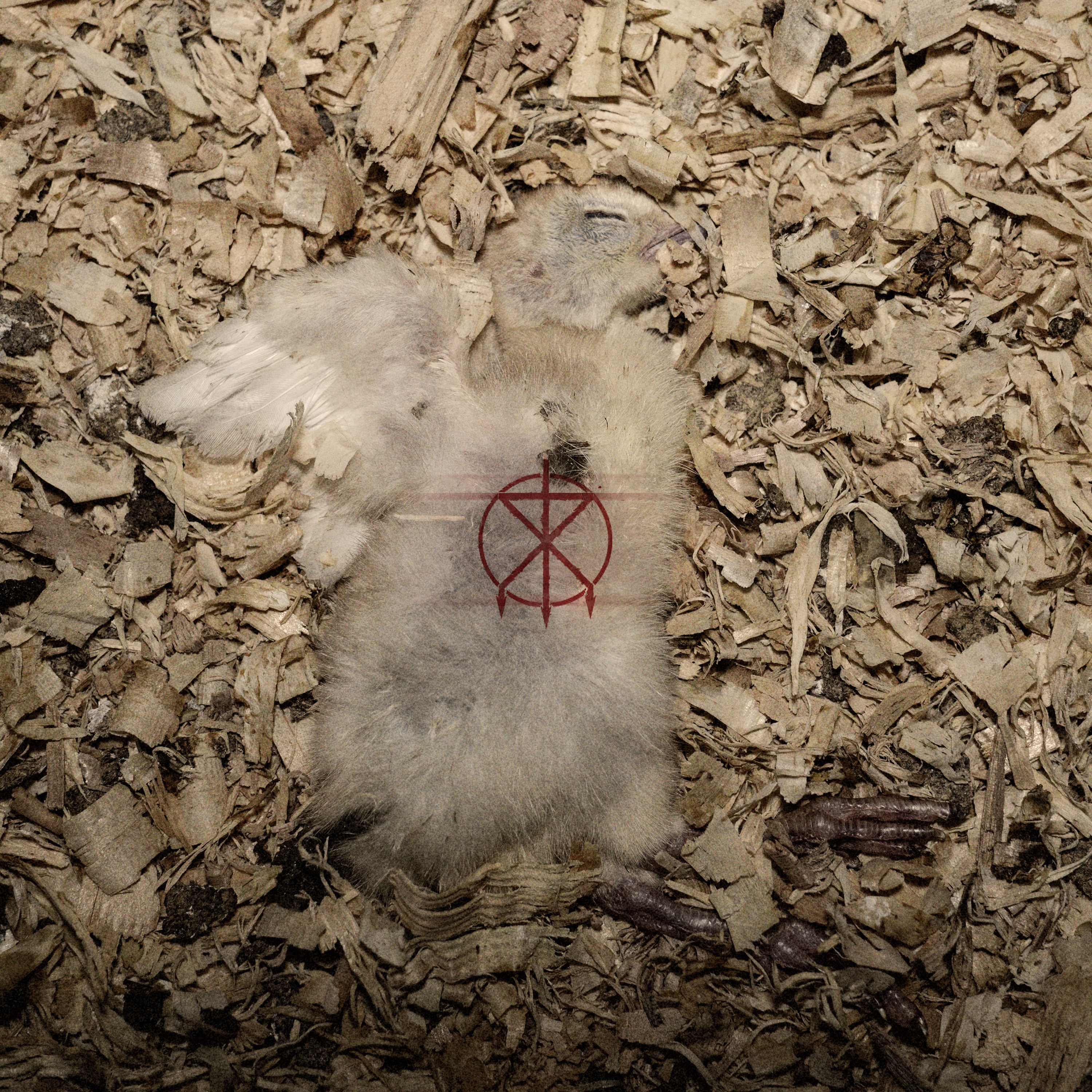Offcuts album cover