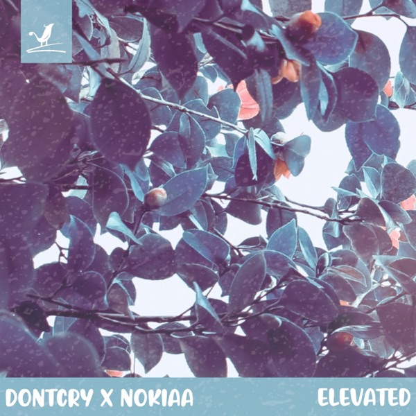 Elevated - Single album cover