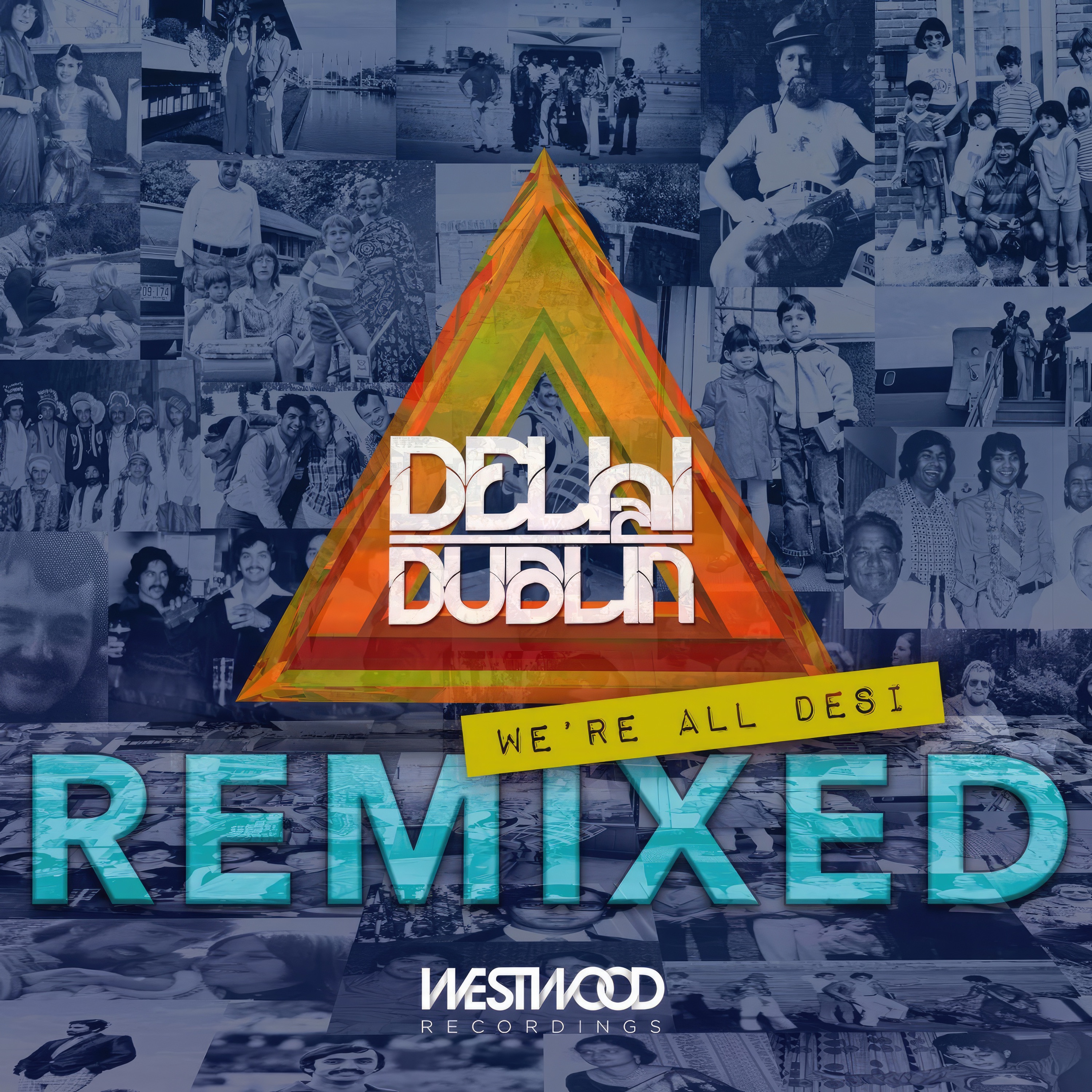 We're All Desi (Remixed) album cover
