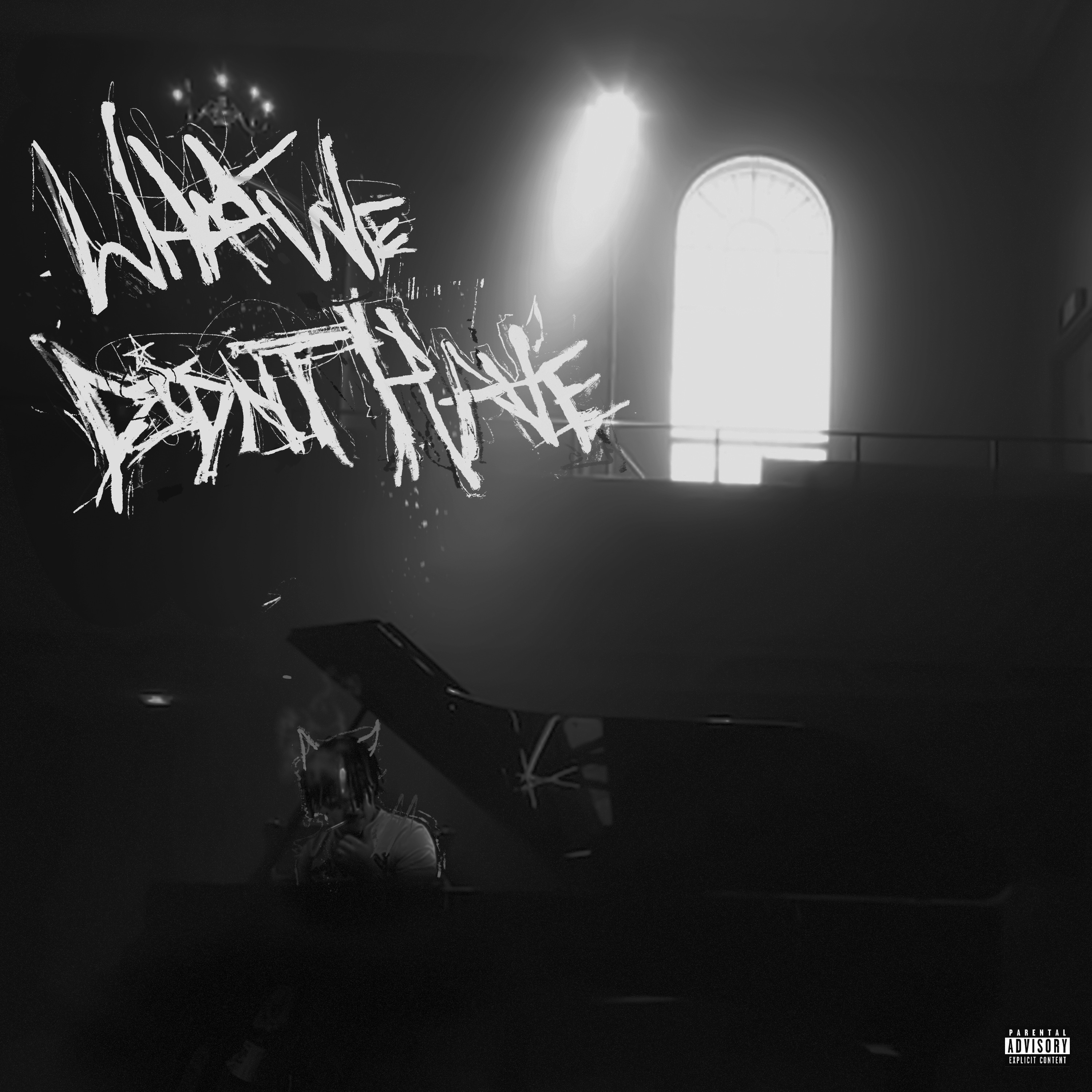 What We Didn't Have album cover