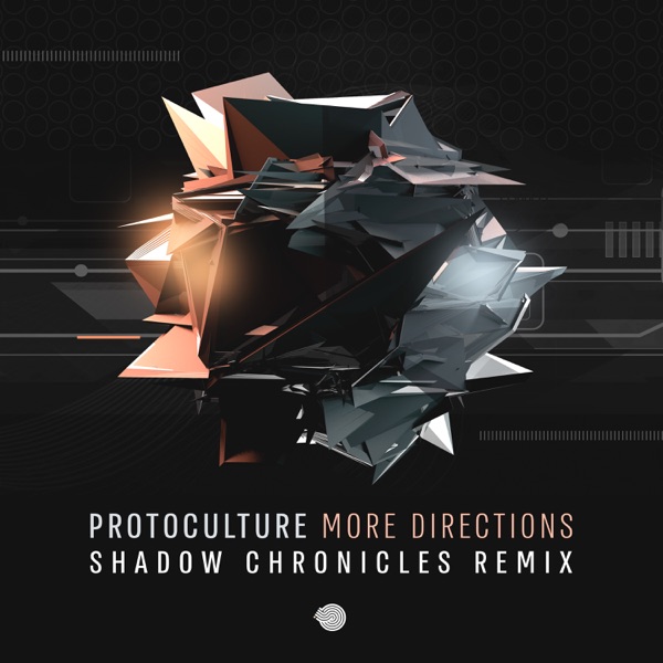 More Directions (Shadow Chronicles Remix) - Single album cover
