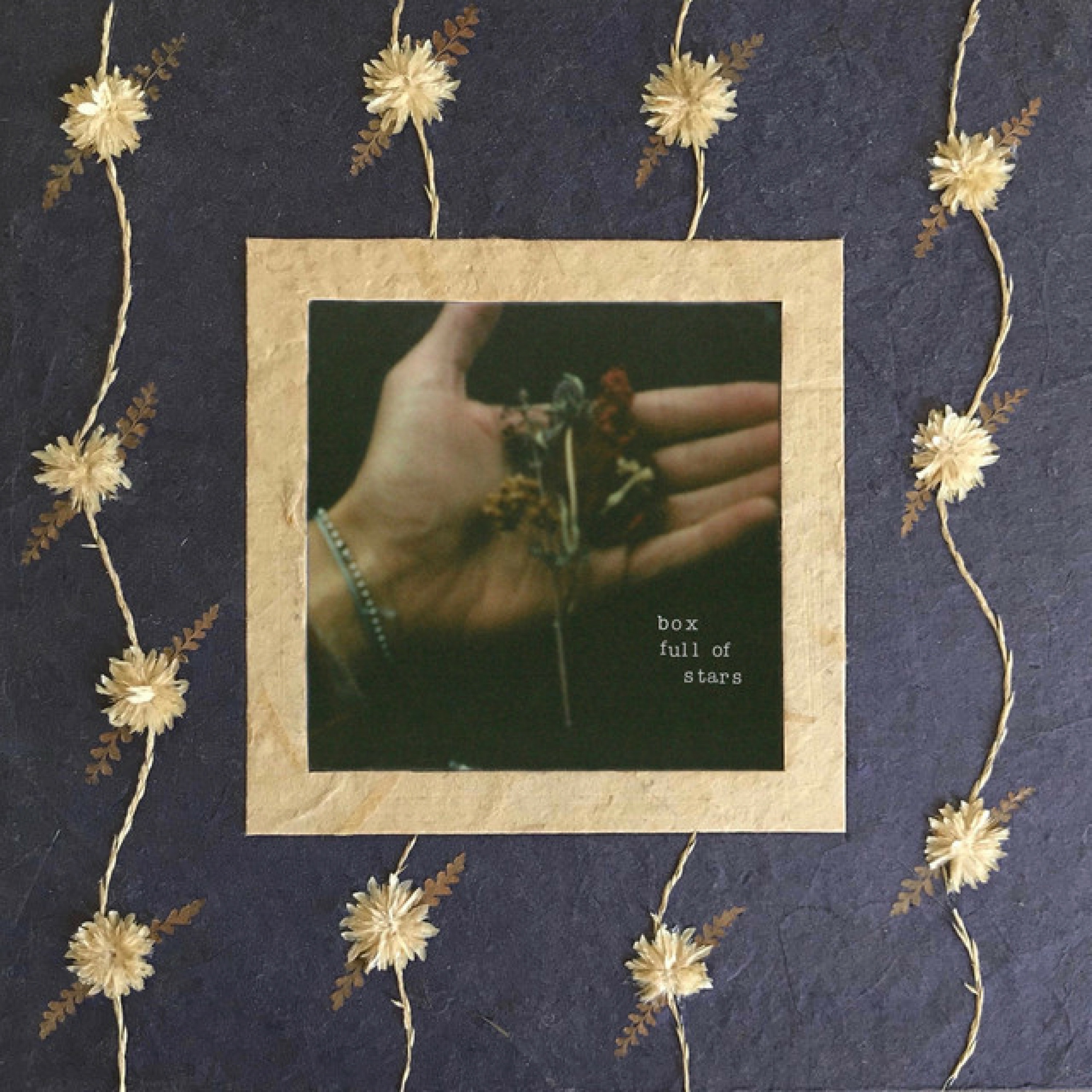 Box Full of Stars album cover