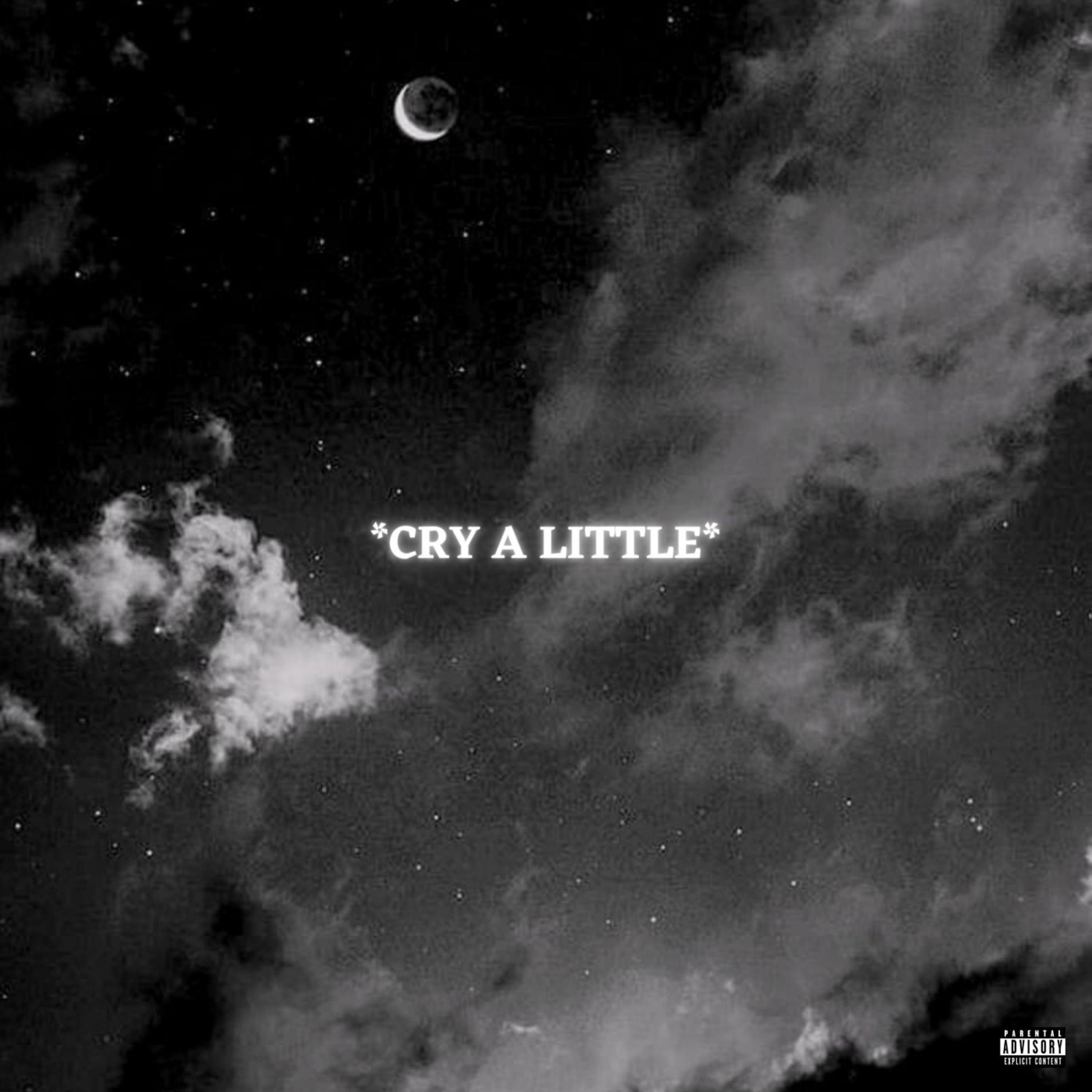cry a little album cover