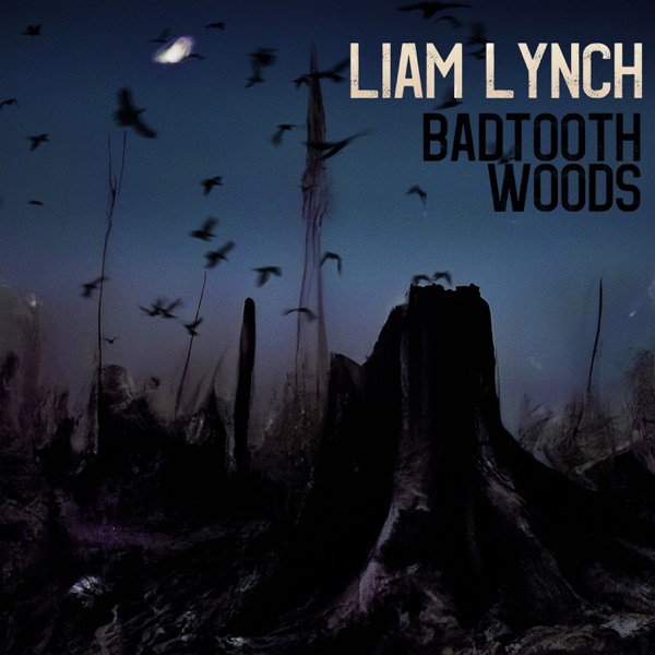 Badtooth Woods album cover