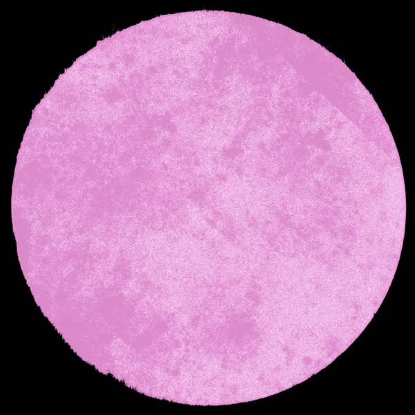 D.O.T.S (FloFilz Remix) - Single album cover