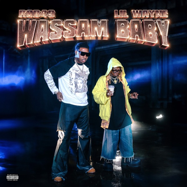 Wassam Baby - Single album cover