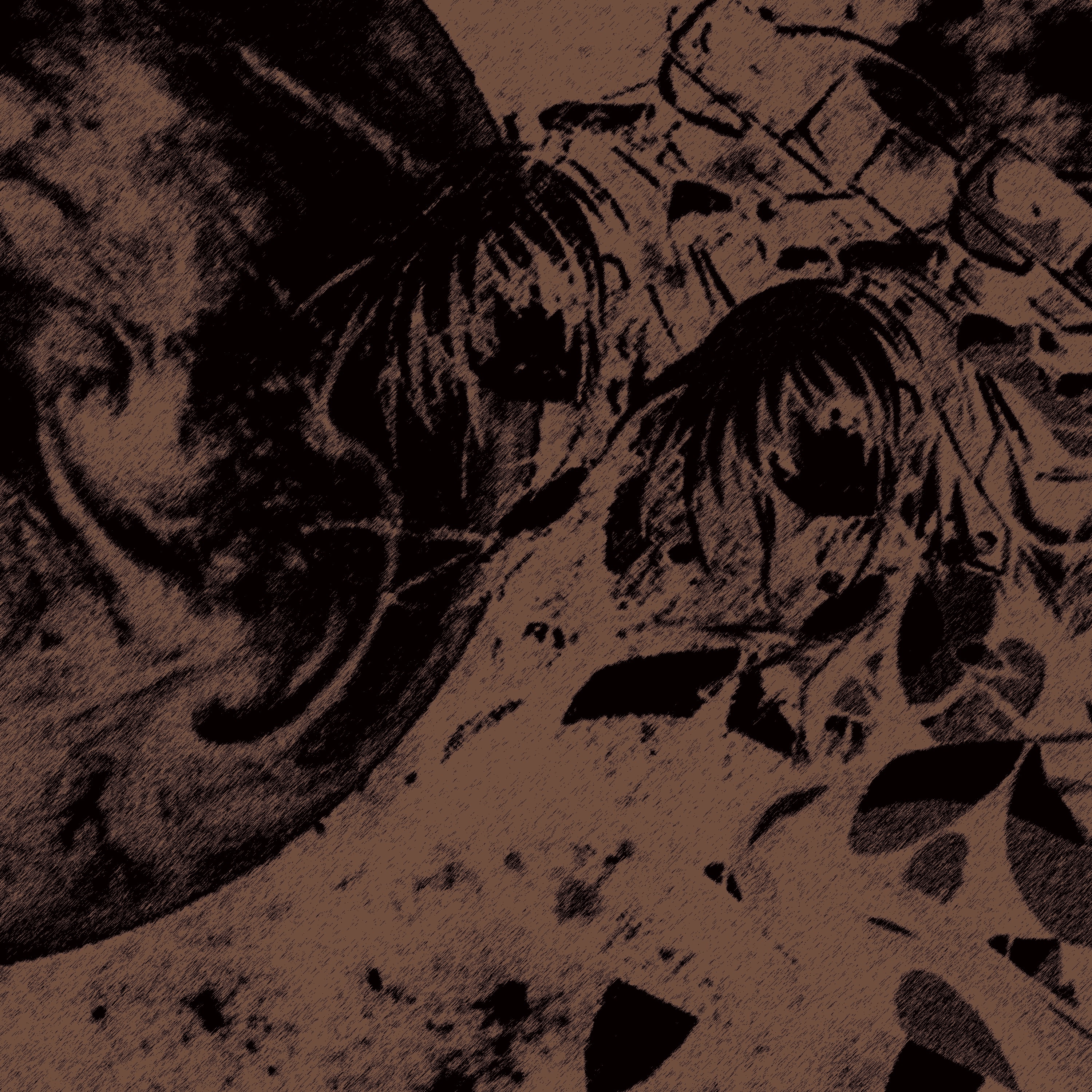 Eves Delight album cover