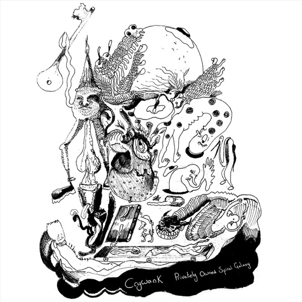Privately Owned Spiral Galaxy - Single album cover