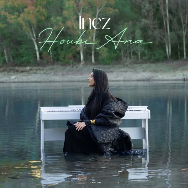 Houbi Ana - Single album cover