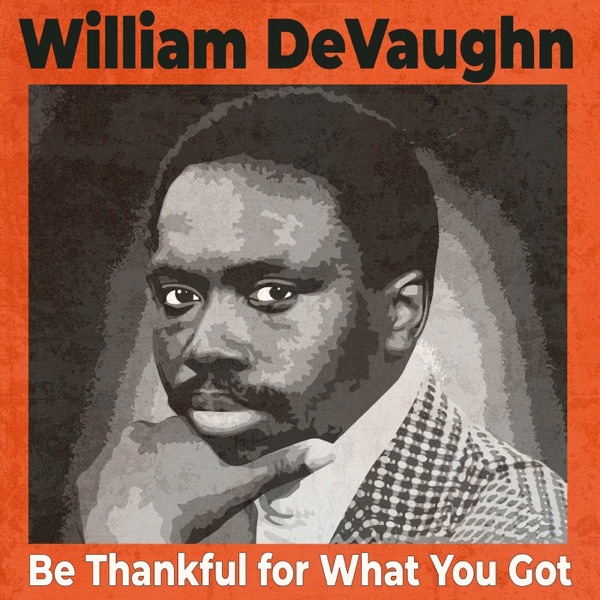 Be Thankful for What You Got - Single album cover