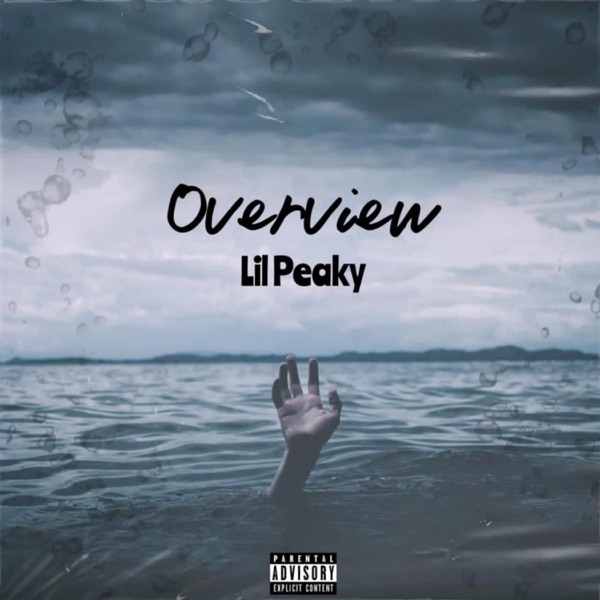Overview (feat. Ookay & OTR) - Single album cover