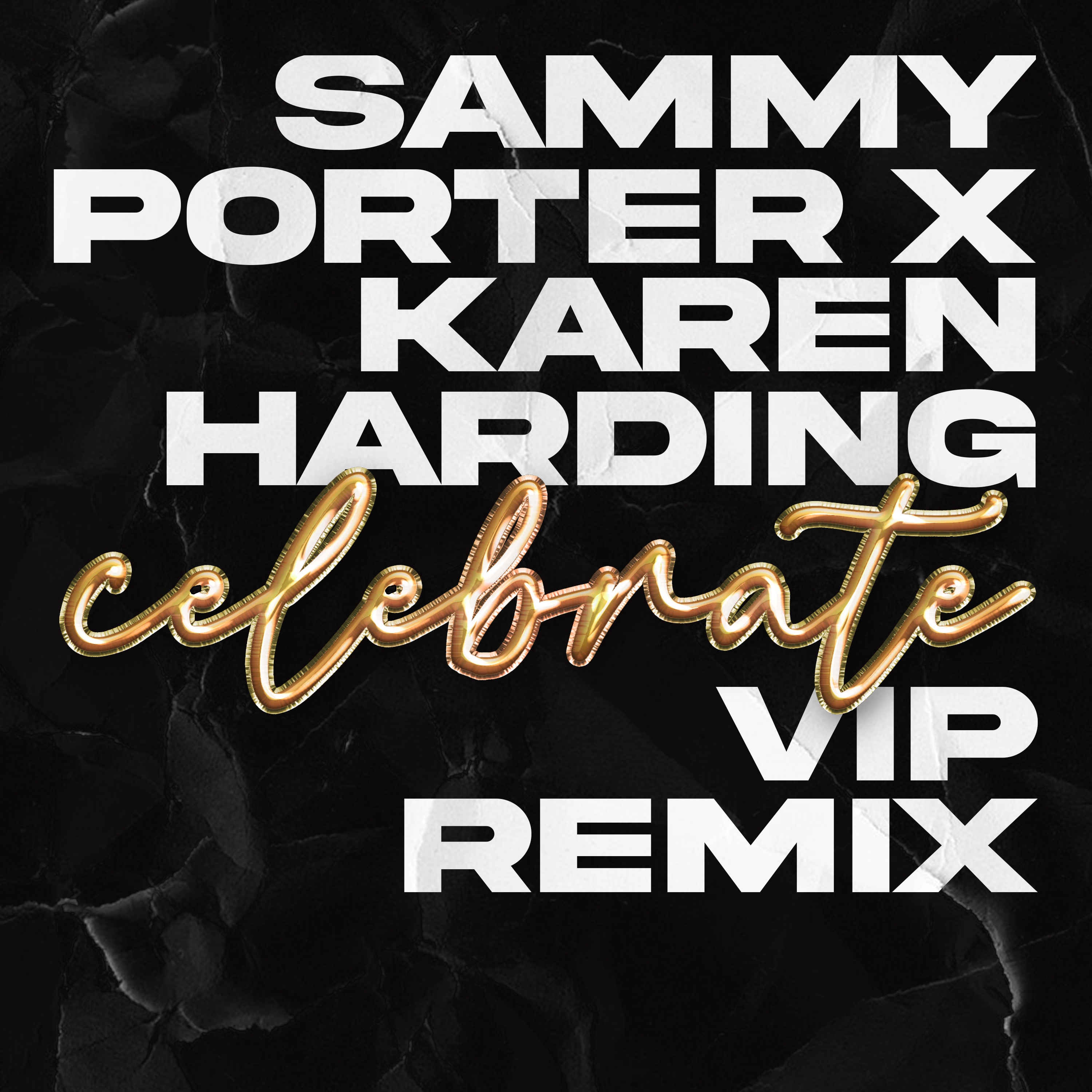Celebrate (VIP Mix) - Single album cover