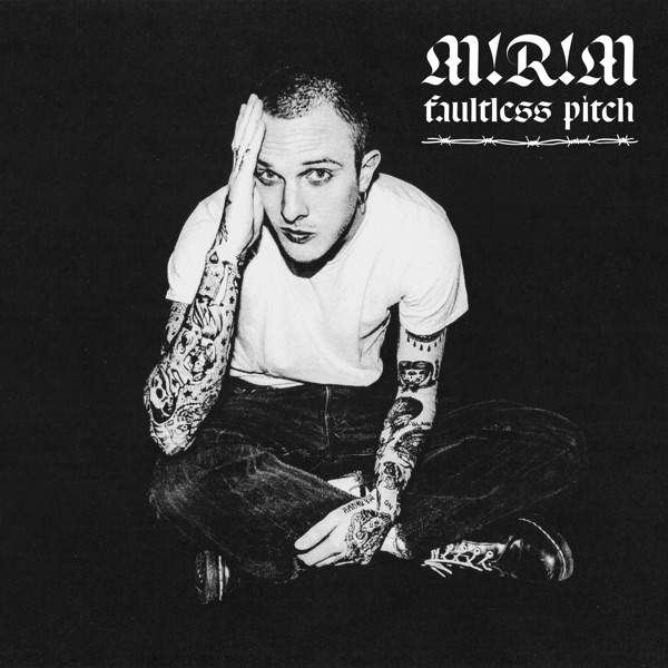 Faultless Pitch - Single album cover