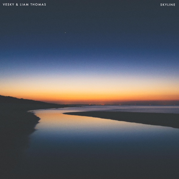 Skyline - Single album cover